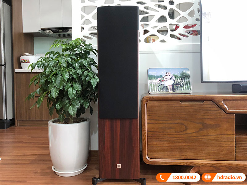 Dàn nghe nhạc JBL NN36 (JBL Stage A190 + Cambridge AXR100)-3