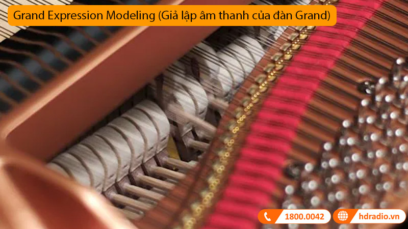 Đàn Piano Yamaha CLP-765GP-9