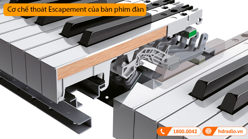 Đàn Piano Yamaha CLP-795GP, piano điện-8