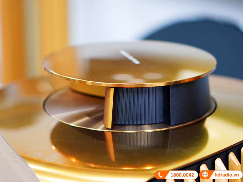 Loa B&O Beolab 50 Chính Hãng, Công Suất mỗi loa 2100W, Bluetooth, Wifi, Optical, RCA, USB (Cặp Loa Đứng Hi-End)-8