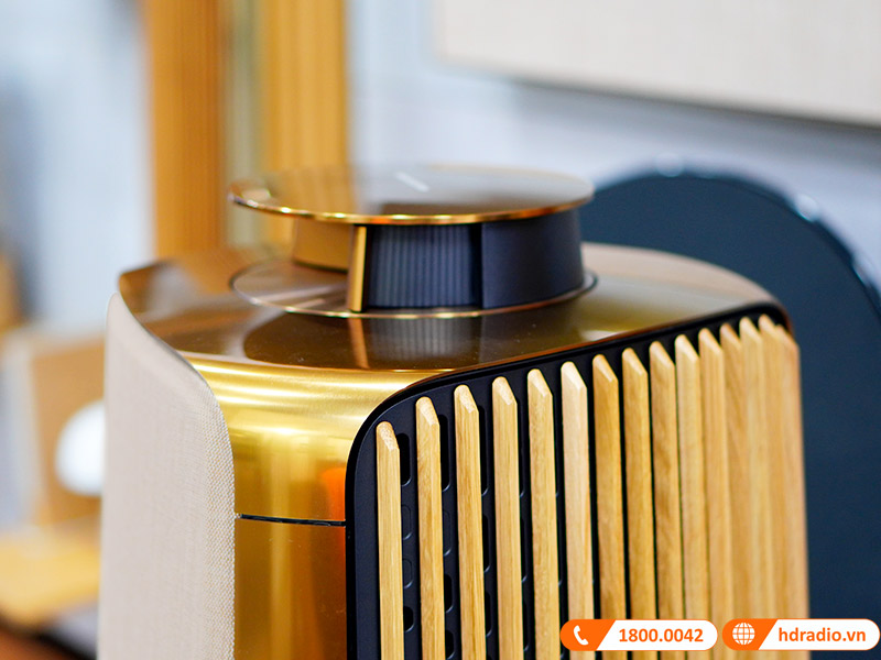 Loa B&O Beolab 50 Chính Hãng, Công Suất mỗi loa 2100W, Bluetooth, Wifi, Optical, RCA, USB (Cặp Loa Đứng Hi-End)-9