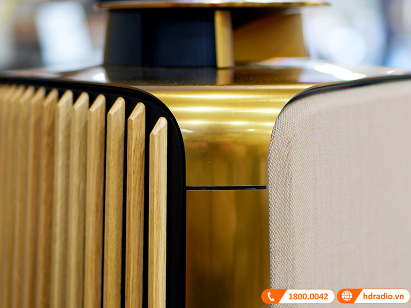 Loa B&O Beolab 50 Chính Hãng, Công Suất mỗi loa 2100W, Bluetooth, Wifi, Optical, RCA, USB (Cặp Loa Đứng Hi-End)-11