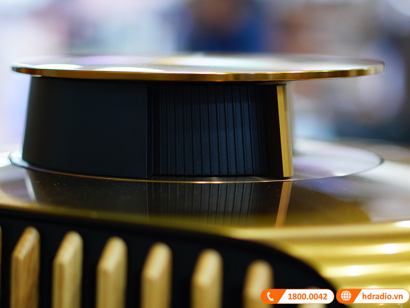 Loa B&O Beolab 50 Chính Hãng, Công Suất mỗi loa 2100W, Bluetooth, Wifi, Optical, RCA, USB (Cặp Loa Đứng Hi-End)-12