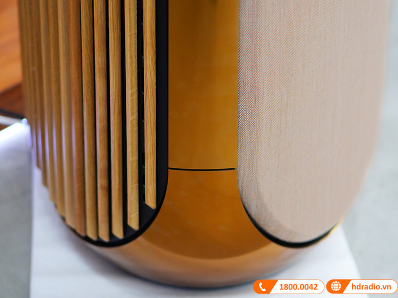 Loa B&O Beolab 50 Chính Hãng, Công Suất mỗi loa 2100W, Bluetooth, Wifi, Optical, RCA, USB (Cặp Loa Đứng Hi-End)-18