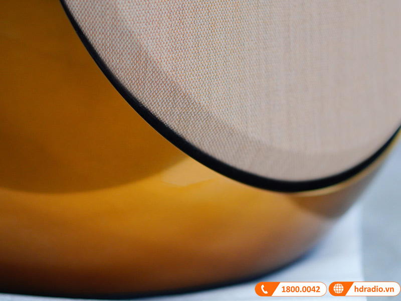 Loa B&O Beolab 50 Chính Hãng, Công Suất mỗi loa 2100W, Bluetooth, Wifi, Optical, RCA, USB (Cặp Loa Đứng Hi-End)-21