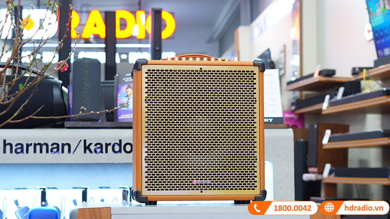 Loa Sumico MSP10 Bass 25,4 cm, Công suất 100W, 2 micro-2