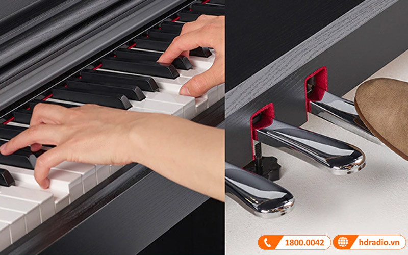 Đàn Piano Yamaha YDP-105, 88 Phím GHS, 10 âm sắc, 64 âm Polyphony, âm thanh AMW Stereo Sampling-14