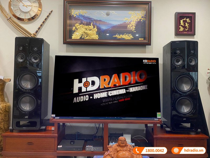Dàn nghe nhạc cao cấp Luxman, Polk Audio NN82 (Polk Audio Legend L800, Luxman SQ-N150, Cambridge Audio DacMagic 200M)-2