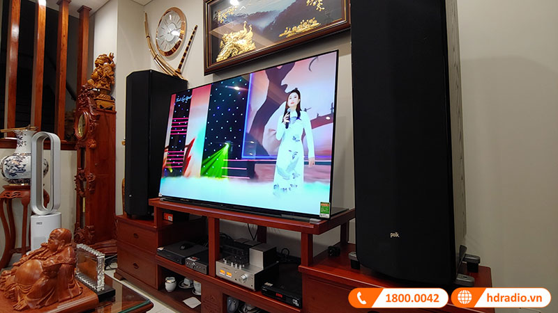 Dàn nghe nhạc cao cấp Luxman, Polk Audio NN82 (Polk Audio Legend L800, Luxman SQ-N150, Cambridge Audio DacMagic 200M)-4