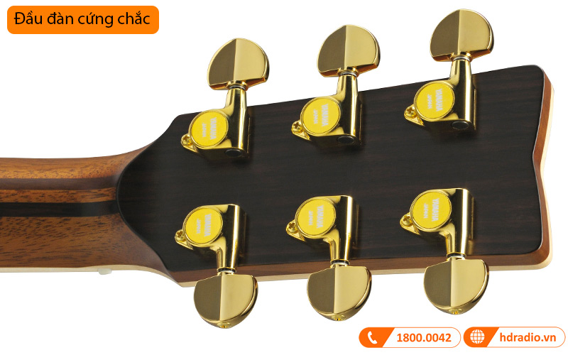 Đàn Guitar Yamaha LS36 ARE, acoustic guitar-4