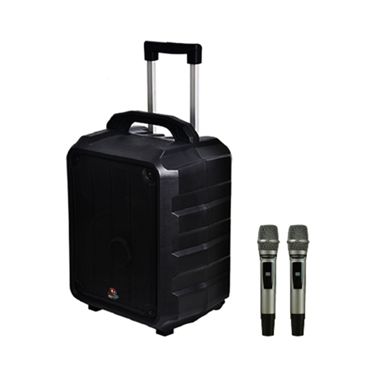 Loa Boston Acoustic H10P-2