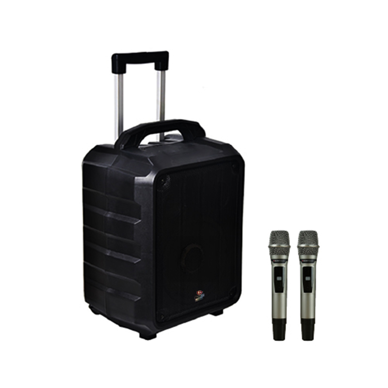 Loa Boston Acoustic H10P-3