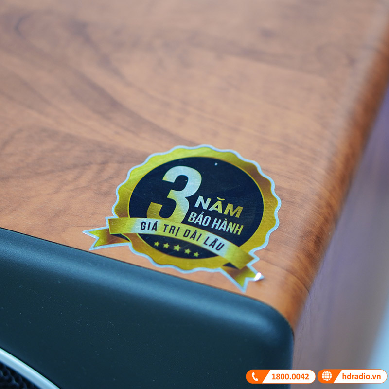 Loa Sub Paramax MK Sub30, Công Suất 500W, Bass 30cm-11