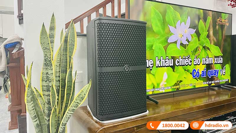 Dan karaoke cua anh Son Dan karaoke cua anh Son