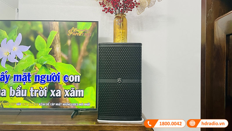 Dan karaoke cua anh Son Dan karaoke cua anh Son