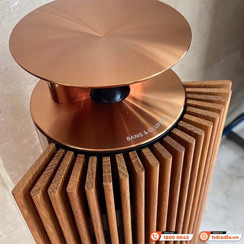 Lắp đặt bộ Loa B&O Beolab 18 màu Bronze cho anh Khải Lắp đặt bộ Loa B&O Beolab 18 màu Bronze cho anh Khải