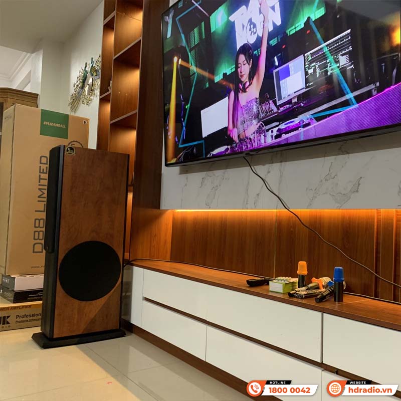 Dàn karaoke Paramax HK20 (Paramax D88 Limited, Neko DK1000, Công suất, Micro K300)-2