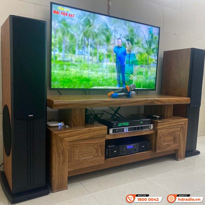 Dàn karaoke Paramax HK20 (Paramax D88 Limited, Neko DK1000, Công suất, Micro K300)-8