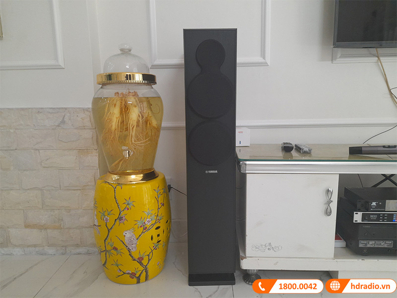 Lắp dàn karaoke Gia Đình trị giá gần 13 triệu đồng cho anh Triều ở Tân Phú, Hồ Chí Minh