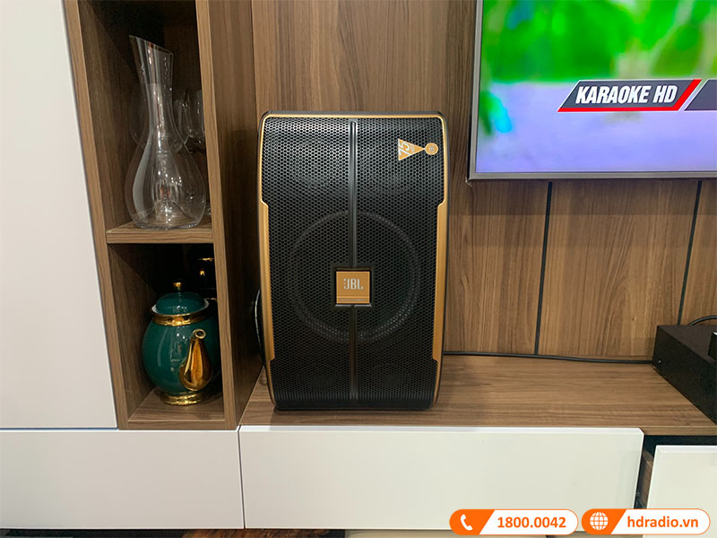 anh-thuc-te-dan-karaoke-cu-chu-ngoc-3