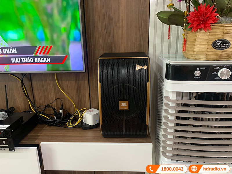 anh-thuc-te-dan-karaoke-cu-chu-ngoc-4