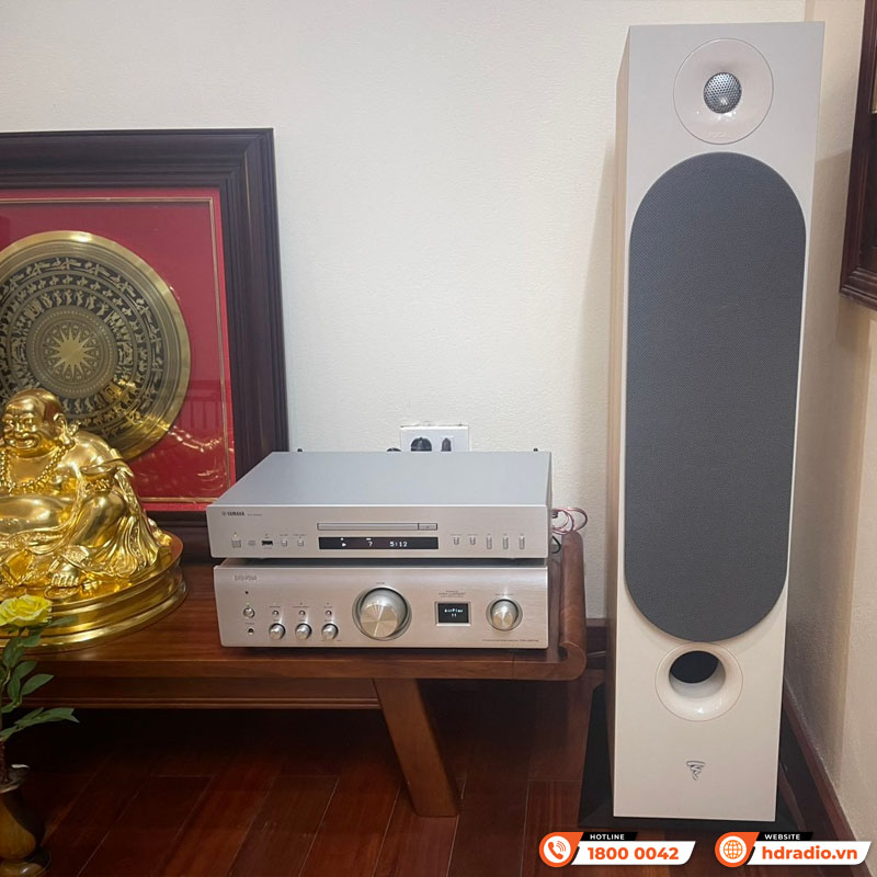 Loa Focal Chora 826 (Độ nhạy 91dB, Tần số 48Hz-28KHz)-13