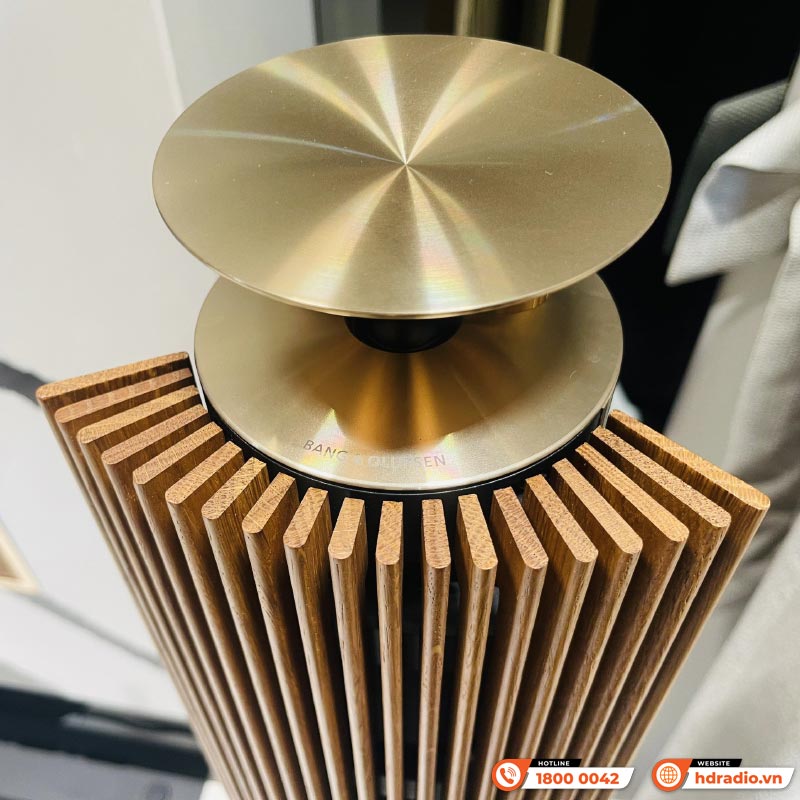 Dàn nghe nhạc Hi-End không dây B&O HE07 (Beolab 18, B&O Beolab 19)-5