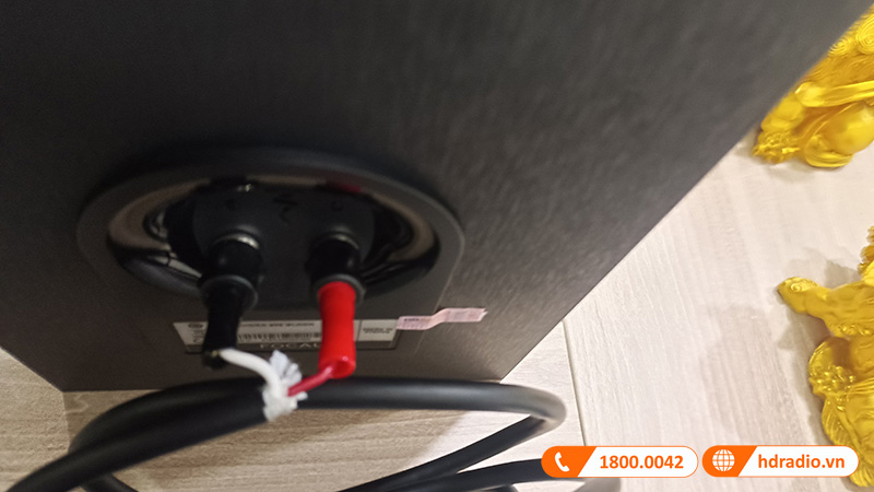 Dan nghe nhac cua chu Phu Dan nghe nhac cua chu Phu