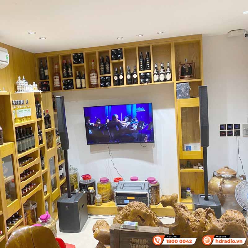 Dàn karaoke Column SK22 (Electro-Voice Evolve 50M, JKAudio X9000 Pro, B9, Tủ Rack 4U ABS)-7