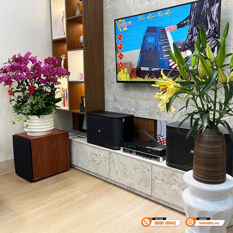 Dàn karaoke JBL GD95 (JBL RM210, NEKO DK1000, Jamo C912, JKAudio B3 Plus)-4