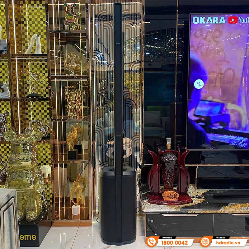Dàn Karaoke Bose HK11 ( Bose L1 Pro16, Vang số, Micro không dây )-11