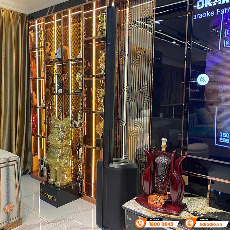 Dàn Karaoke Bose HK11 ( Bose L1 Pro16, Vang số, Micro không dây )-12