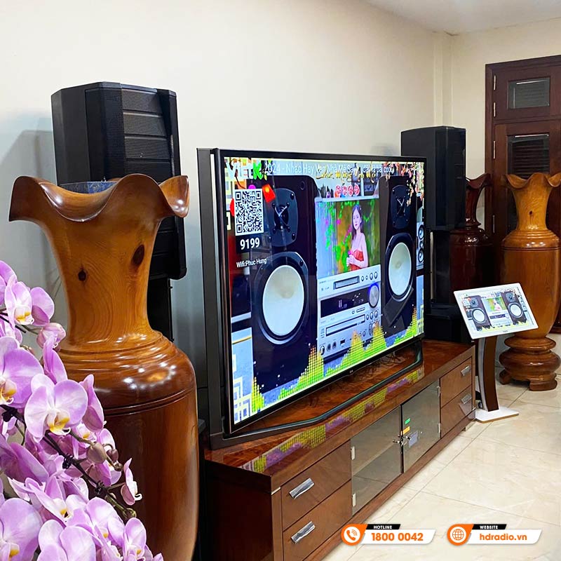 Dàn Karaoke Bose HK12 ( Bose F1 Model 812, Vang số JKaudio X9900 Pro, Micro JK K500 )-3