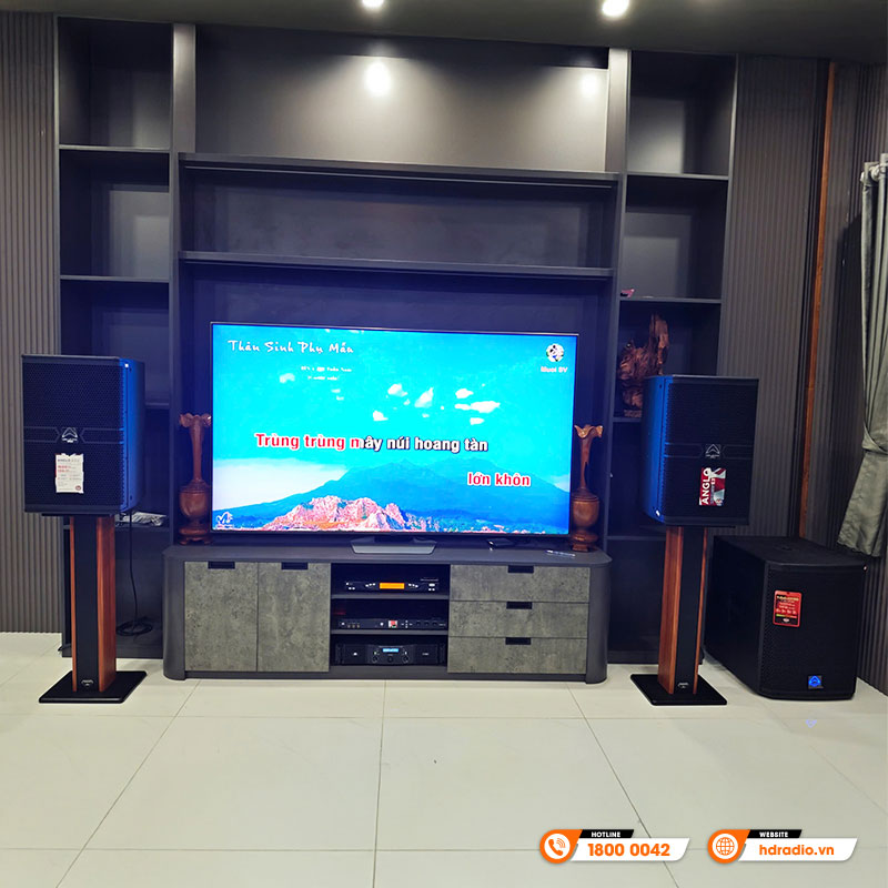 Loa Sub Wharfedale T-SUB AX15B, Bass 40cm, Công suất 700W-15