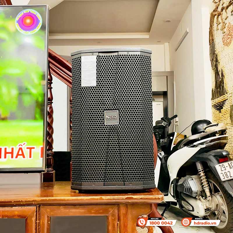 Loa NEKO NX10, Bass 25cm, 300W-12