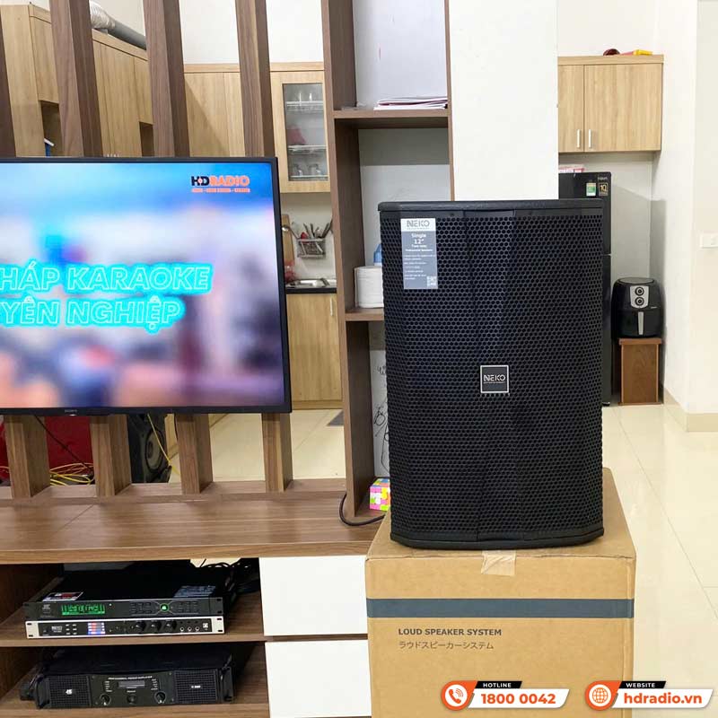 Loa Neko NX12, Bass 30cm, Công Suất 350W, Độ Nhạy 97db-28