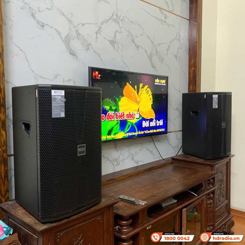 Loa Neko NX12, Bass 30cm, Công Suất 350W, Độ Nhạy 97db-23