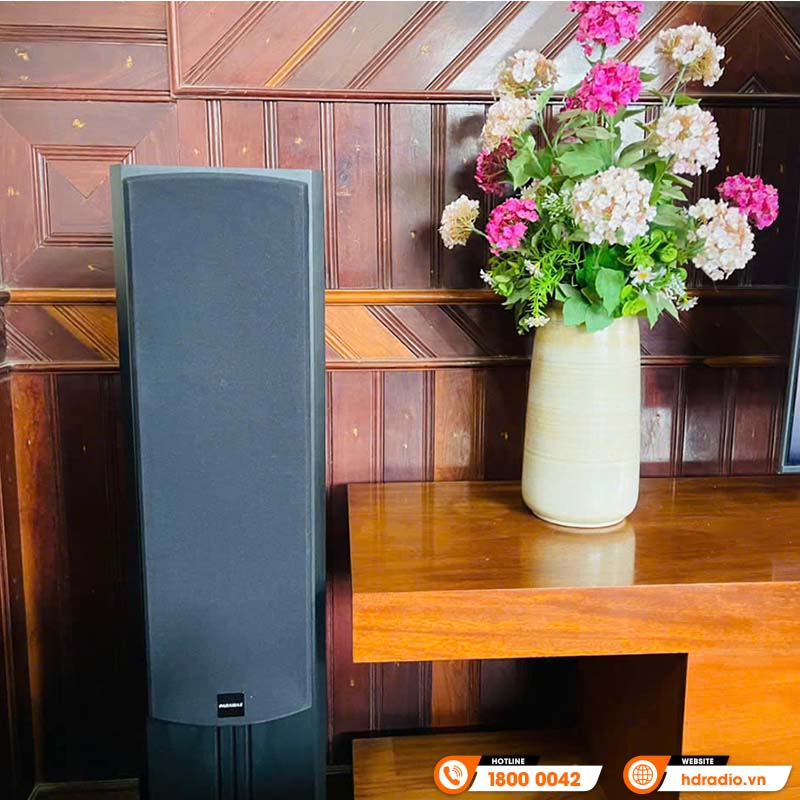 Dàn karaoke Paramax HK20