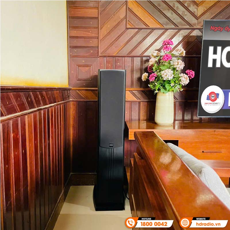 Dàn karaoke Paramax HK20 (Paramax D88 Limited, Neko DK1000, Công suất, Micro K300)-16