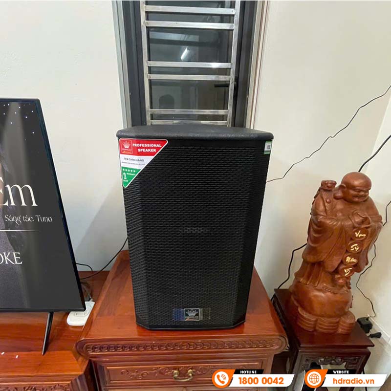 Loa BossElac SX12 Pro Plus, Bass 30 cm, 300W, 20Hz – 20KHz-11