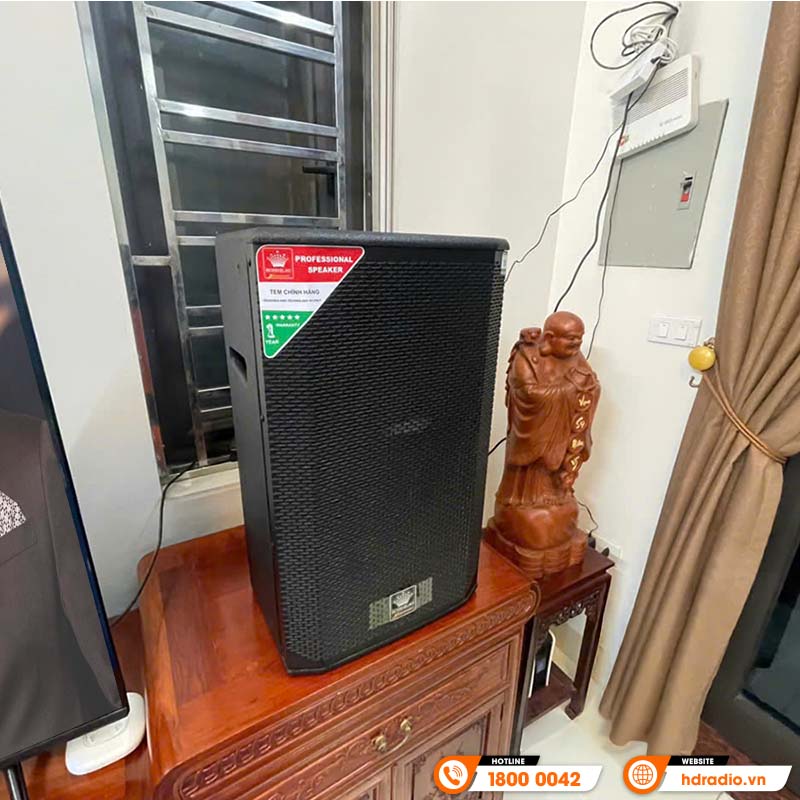 Loa BossElac SX12 Pro Plus, Bass 30 cm, 300W, 20Hz – 20KHz-13