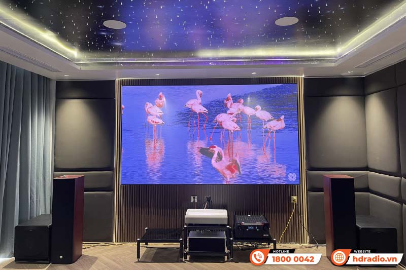  Dàn xem phim, nghe nhạc của anh Tuyến