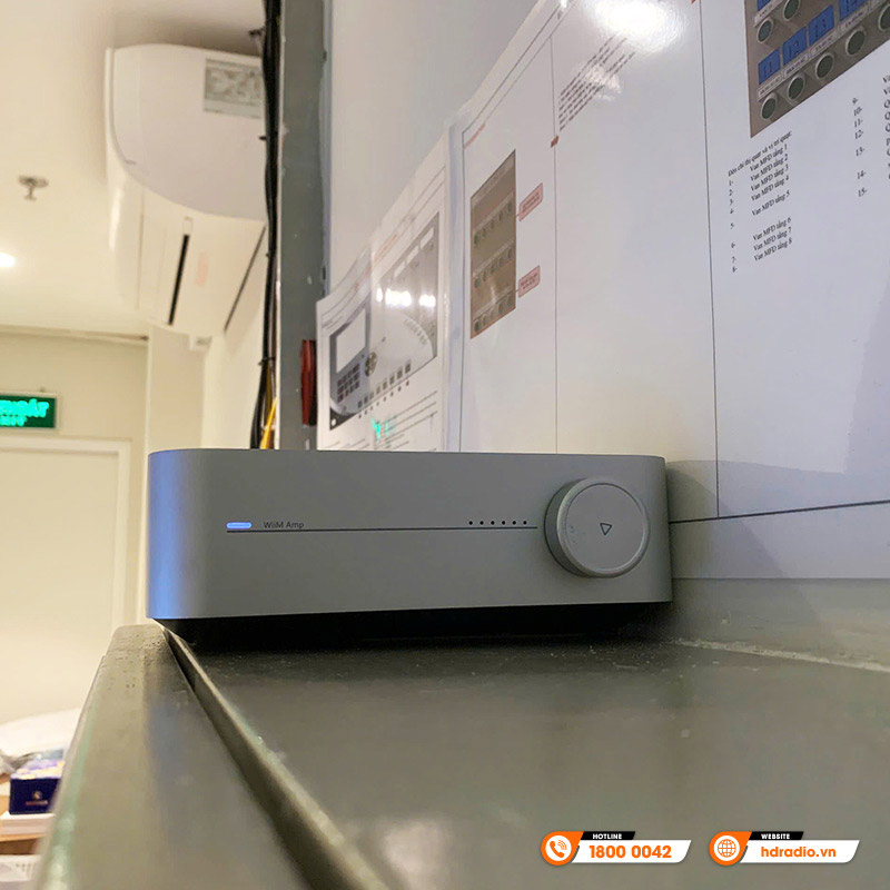 Music Server + DAC + Network Streamer + Amply WiiM Amp