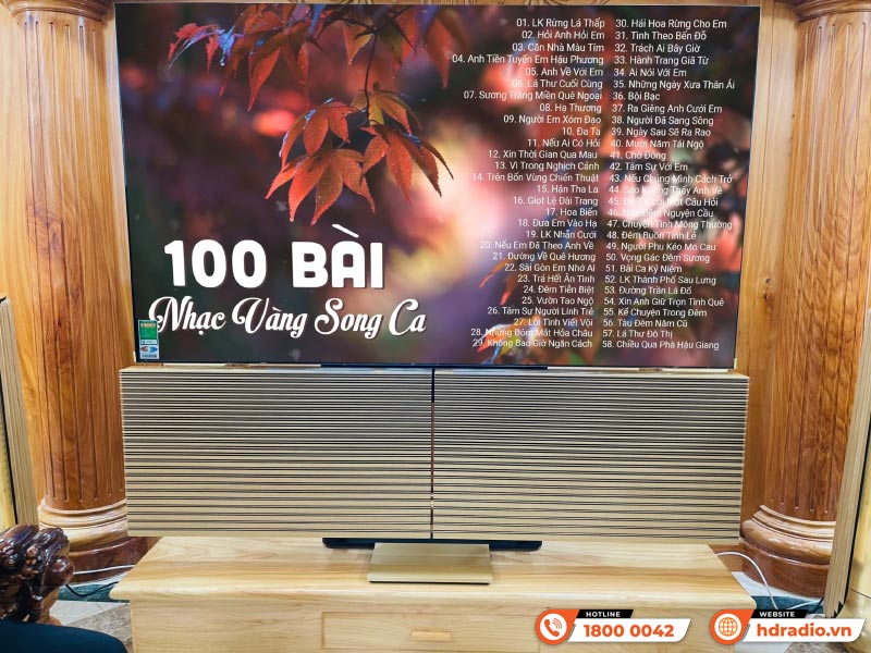 Hệ thống loa nghe nhạc đẳng cấp của anh khách