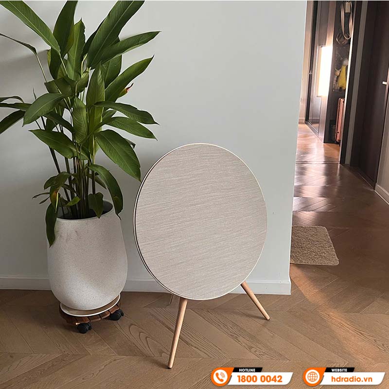  Loa B&O Beosound A9 MK5