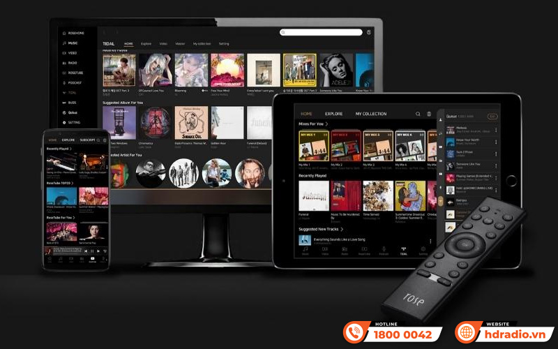 Network Preamplifier Hifi Rose RS250