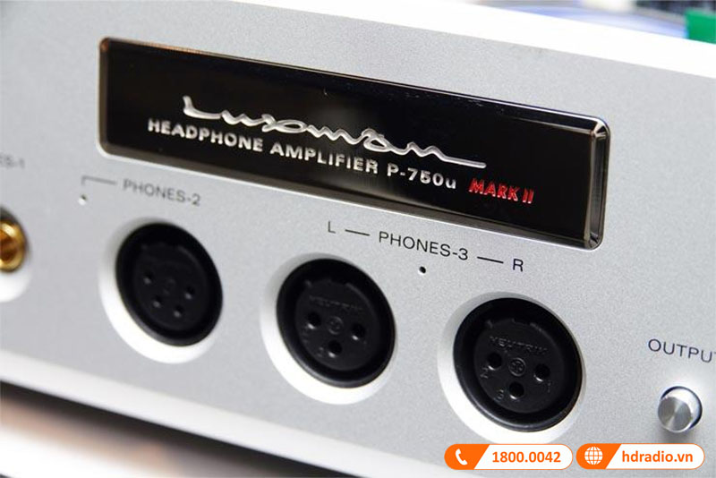 tấm logo mạ Rhodium (kim loại quý hiếm)