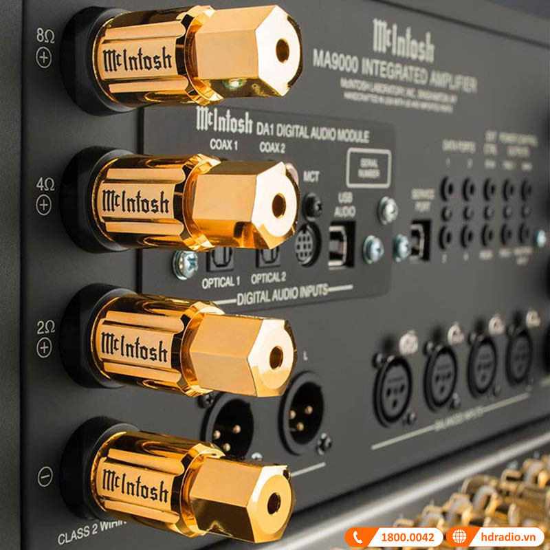 coc loa ma vang dep mat