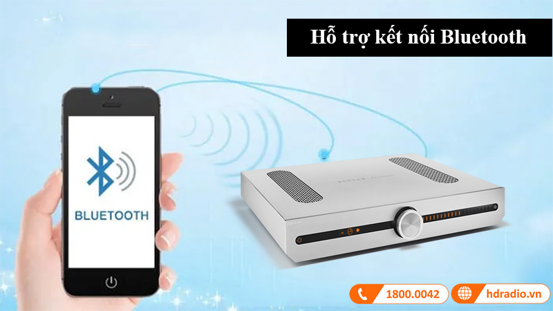 Amply Roksan Attessa