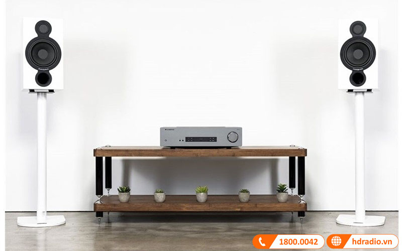 ngoại hình lịch lãm, sang trọng